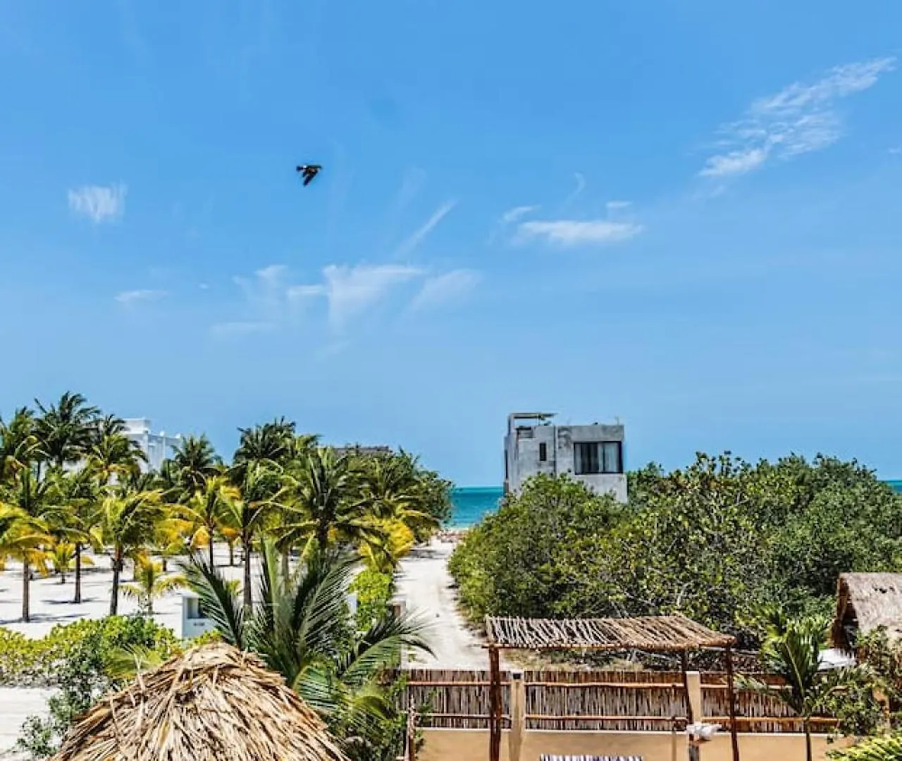 Island Escape For 16 Guests Hosted By Atenea Holbox בית נופש הולבוקס איילנד