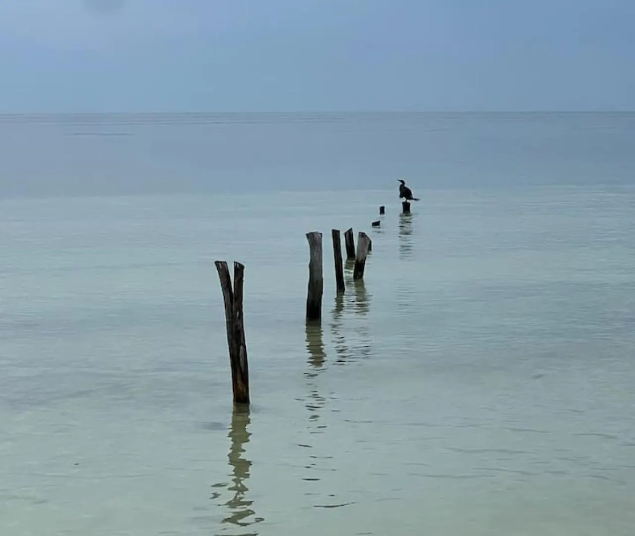 펜션 Island Escape For 16 Guests Hosted By Atenea Holbox