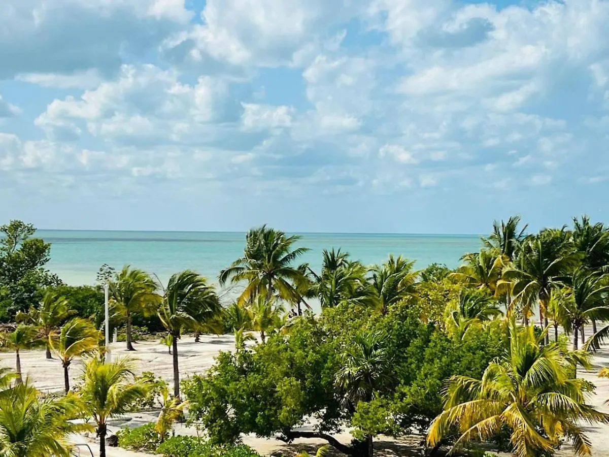 Island Escape For 16 Guests Hosted By Atenea Holbox
