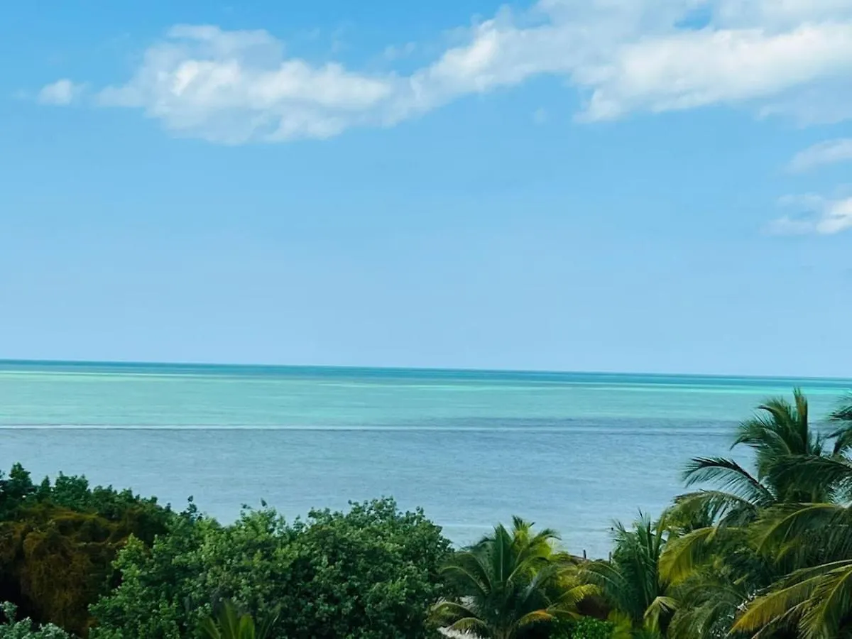 펜션 Island Escape For 16 Guests Hosted By Atenea Holbox