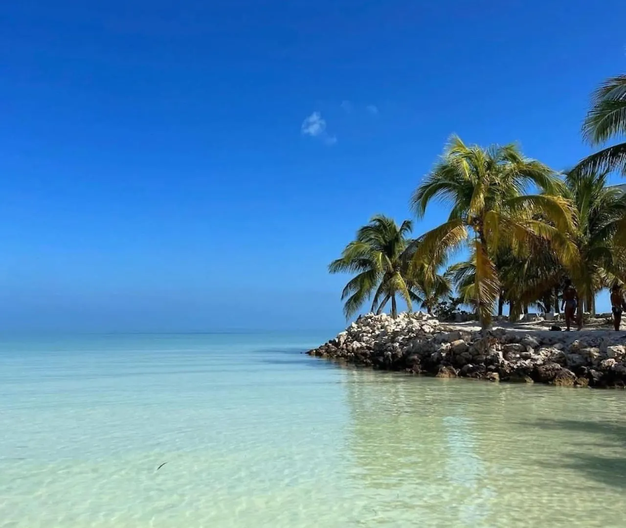Island Escape For 16 Guests Hosted By Atenea Holbox 홀박스아일랜드