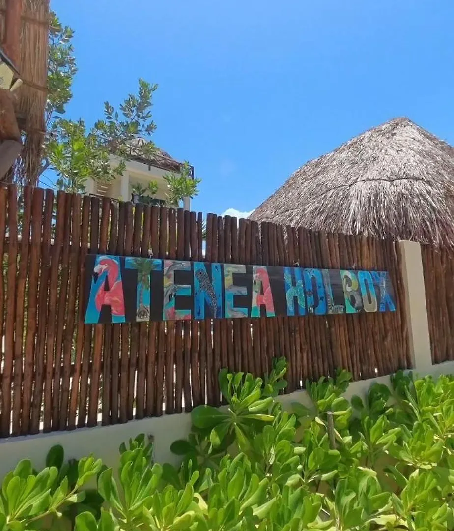 Island Escape For 16 Guests Hosted By Atenea Holbox Casa vacanze Isola Holbox